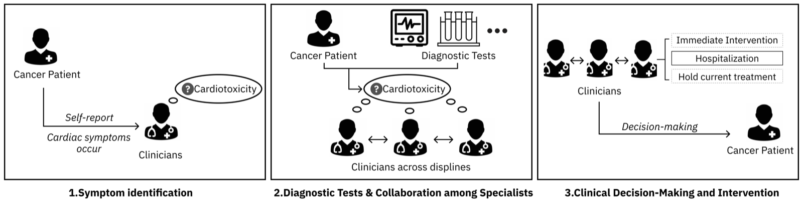 Current workflow of cardiotoxicity diagnosis